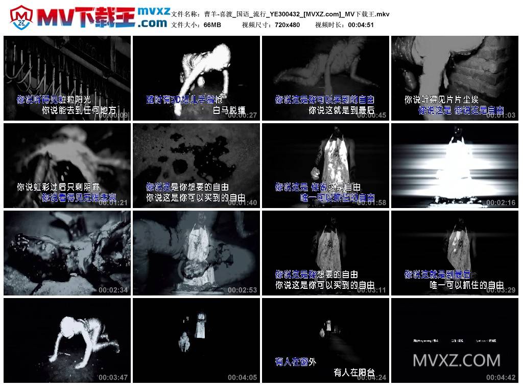 曹羊-喜渡_国语_流行_YE300432